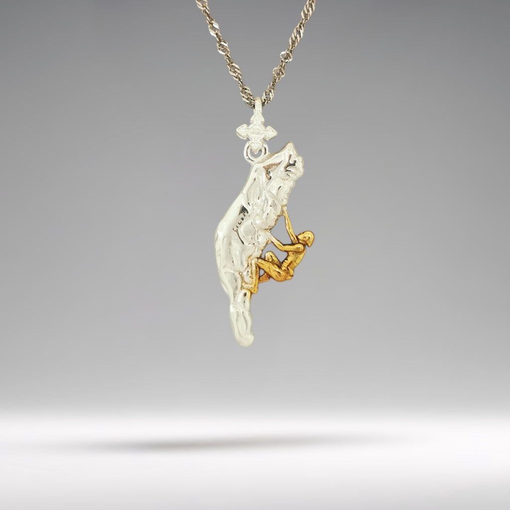 Two-tone climbing necklace crafted from solid 925 sterling silver with partial gold plating — an expressive pendant for men and women who live to explore, conquer, and move beyond the ordinary.

Featuring a detailed climber suspended in motion, the design fuses the strength of sterling silver with the warmth of gold accents. A powerful symbol of resilience, focus, and the thrill of vertical adventure. Ideal for those who appreciate bold design and a connection to nature.
