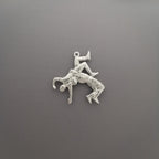 Борба – Мъжки спортен медальон от сребро 925 – Ръчно изработено бижу талисман за борци, треньори и фенове на бойните изкуства – SSJ