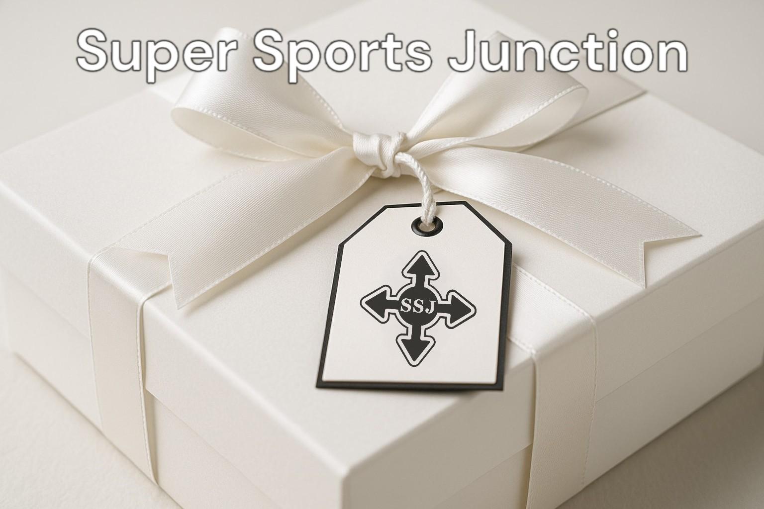 Фигурно пързаляне – Дамски обеци от сребро 925 с частично позлатено покритие – Ръчно изработени спортни бижута – Идеален подарък за жена, фенка на фигурното пързаляне – SSJ